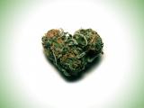 创意杂草