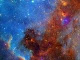 星光闪烁