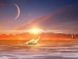 夕阳下的漂流瓶