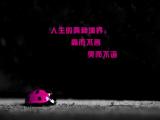 人生的两种境界