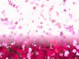 花瓣飞舞