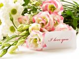 I love you