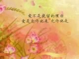 爱不是挽留的理由