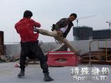 甄子丹特殊身份