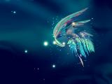 奇幻羽毛