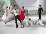 我的完美男人海报