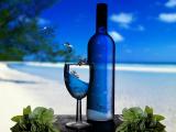 酒中的海洋世界