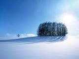 清晨雪景