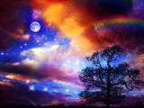 璀璨的星空