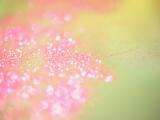耀眼的水晶光芒