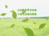 生命总是要有疼痛
