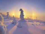 阳光下的雪天美景
