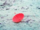 被遗弃的雨伞