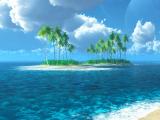 海边椰树风光