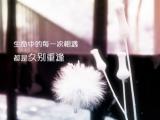 生命的每次相遇