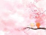 CC猫的浪漫约会
