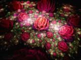 花花世界