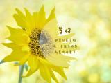 如果只是等待