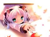 萌萌猫女孩