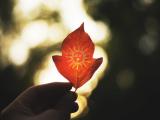 为自己画上一个太阳