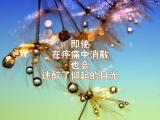 仰起的目光