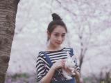 我和兔子的约会