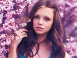 樱花丛中的少女