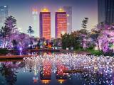 璀璨城市灯光夜景