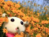 蜗友时光