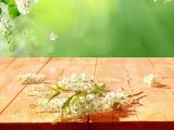 梦幻落花