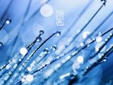 24节气寒露