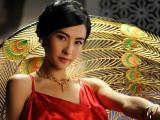 美女张柏芝