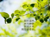 你还不来我怎敢老去