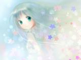 唯美芽衣子