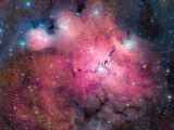 闪亮的唯美星空