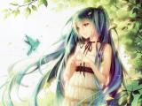 初音的想念
