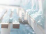 日系意境