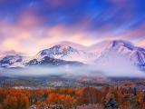 雪景中的早晨