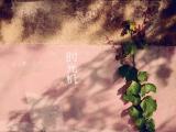 时光机
