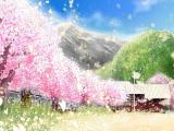 樱花飘落时