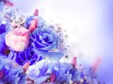 梦幻花朵