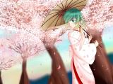 樱花下的初音未来