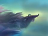 花叶上的透亮水珠