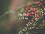 何以笙箫默经典台词