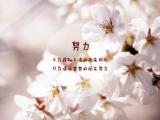 只为清清楚楚的现在努力