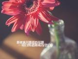 那被岁月覆盖的花开