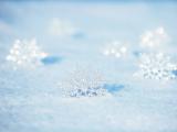 雪地里的唯美雪花
