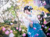 满城花开