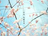 时光失踪片刻