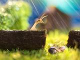雨中蜗牛